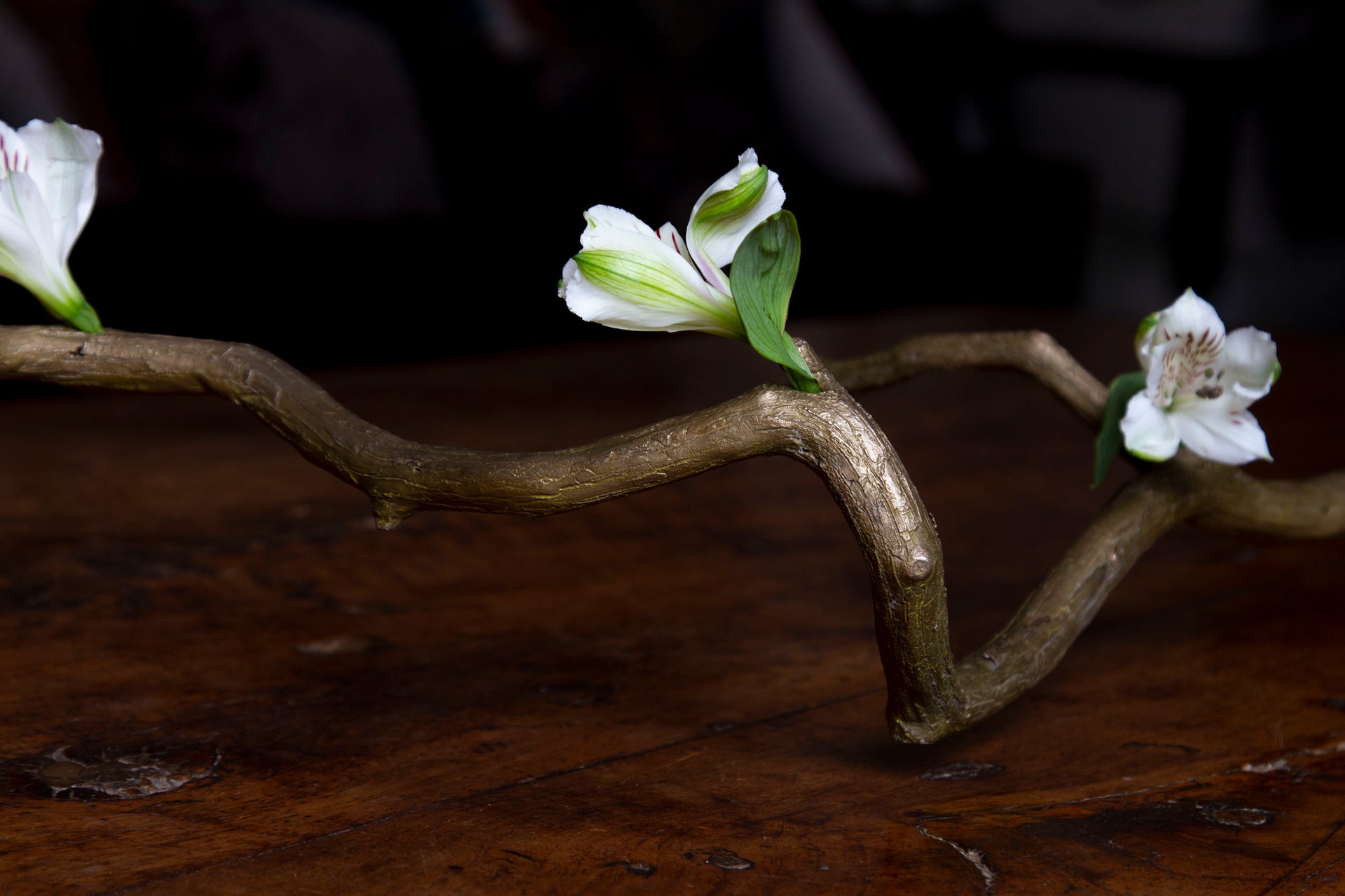 Bronze branch bud vase with water holes holding white flowers, inspired by Ikebana.