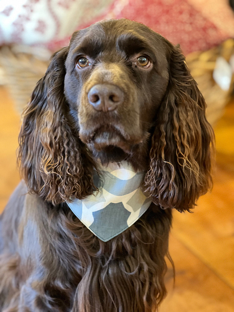 Reversible dog bandana made from designer fabrics, available in small, medium, and large sizes with tie closure on brown spaniel.