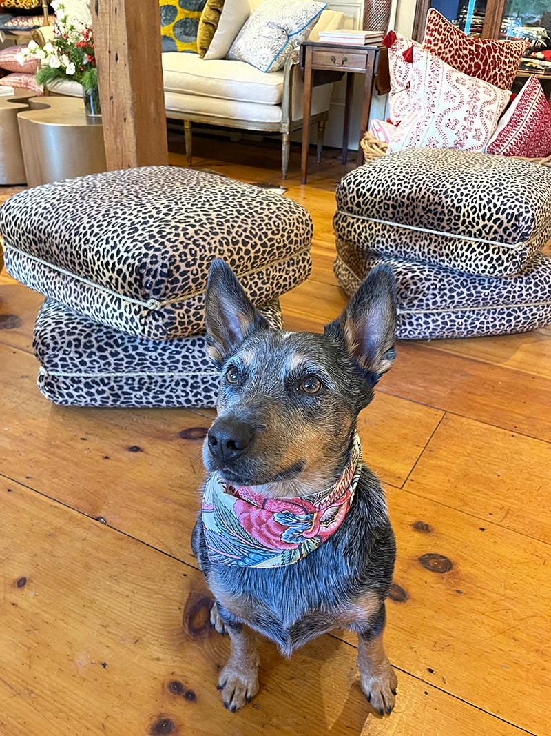 Reversible dog bandana made from designer fabrics, available in small, medium, and large sizes with tie closure on gray and brown heeler.