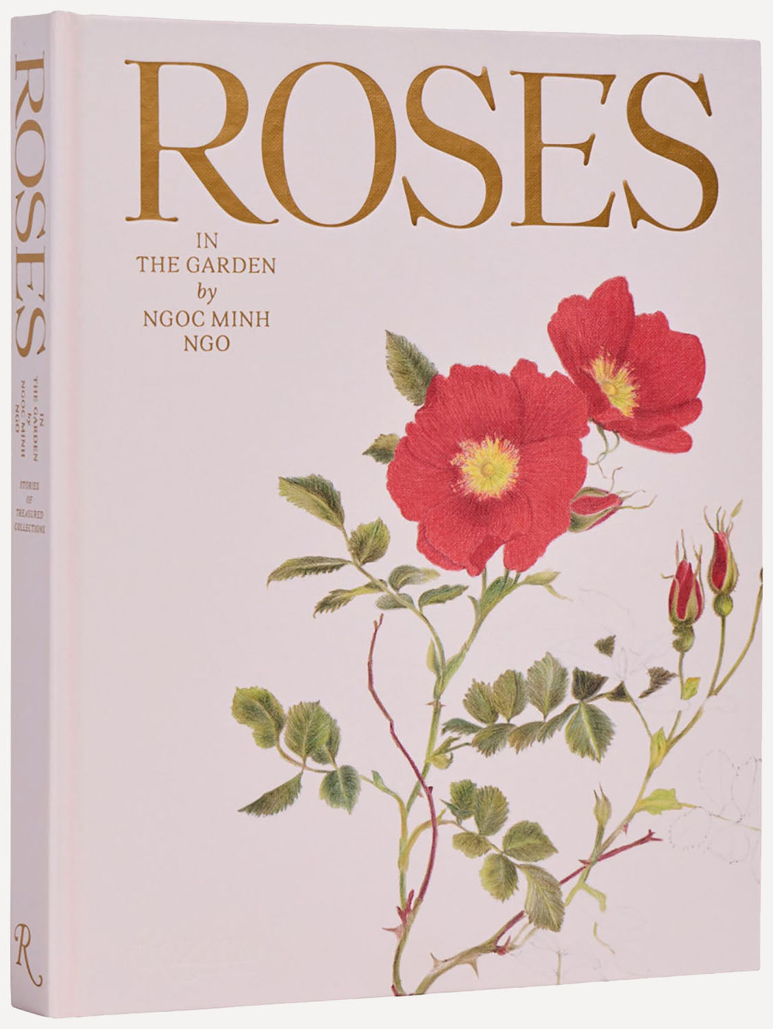 Roses in the Garen by Ngoc Minh Ngo