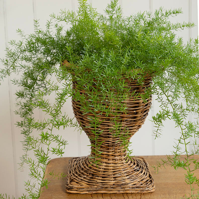 Rattan Urn