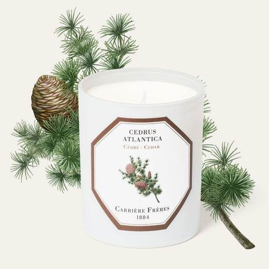 Carrière Frères Cedar Candle