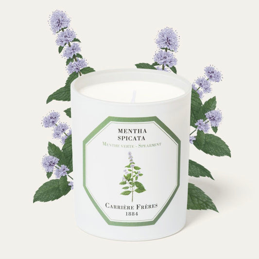 Carrière Frères Spearmint Candle