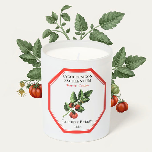 Carrière Frères Tomato Candle