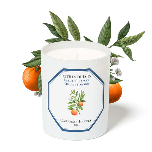 Carrière Frères Orange Blossom Candle