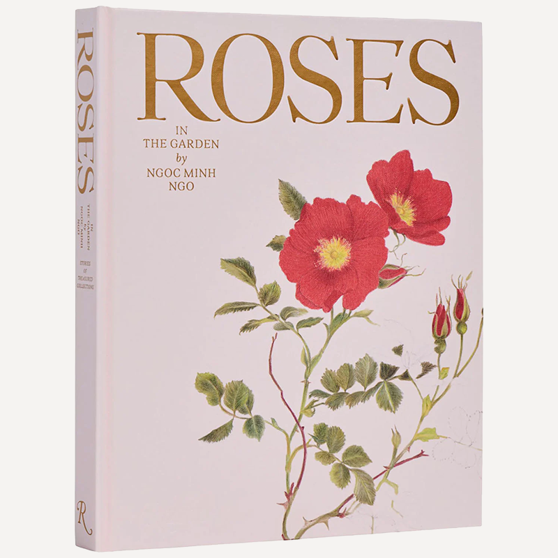 Roses in the Garden by Ngoc Minh Ngo