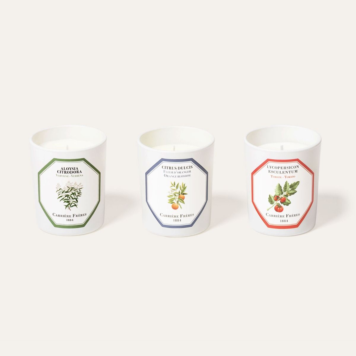 Candle label detail on Carrière Frères Golden Gift Set with three candles: Tomato, Orange Blossom, Verbena, 6.5 oz each, limited edition.