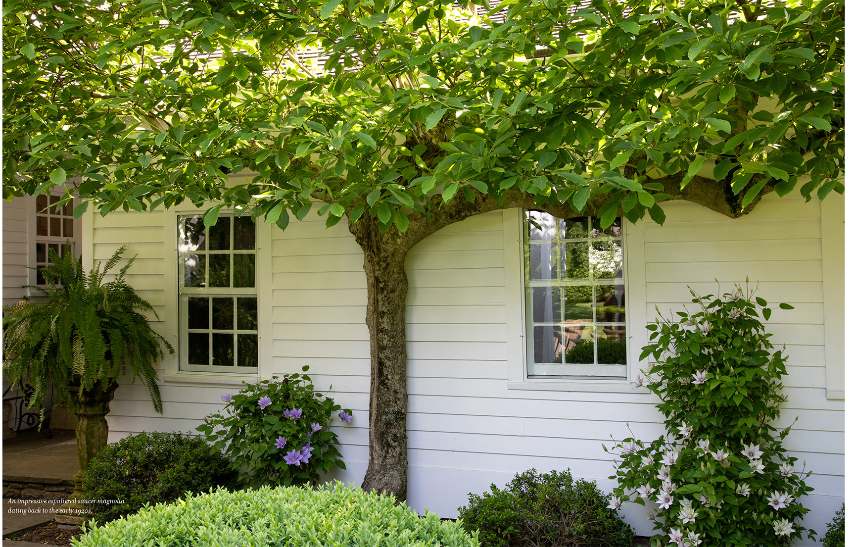 Exterior windows in Connecticut Gardens book featuring lush photography and stories of the state’s historic, public, and private gardens.